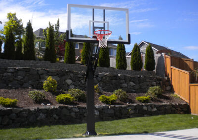 basketball hoop for driveway