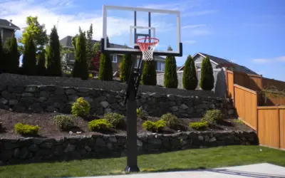 Can Basketball Make You Taller